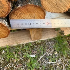 しいたけ原木の画像