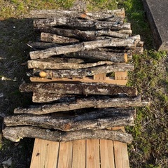 しいたけ原木の画像