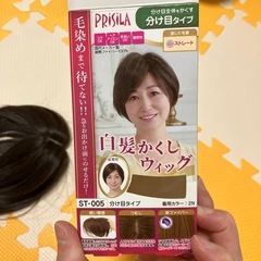 ウィッグの画像