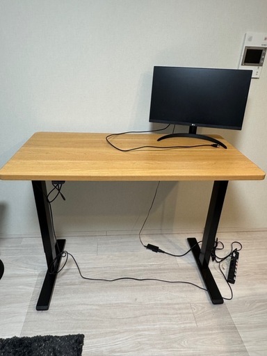 FLEXISPOT 昇降デスク パソコンデス 幅120cm 奥行き60cm 高さ72.5-117.5cm テレワーク スタンディングデ