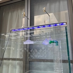 オーバーフローガラス水槽
の画像