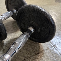 PROIRON  ダンベル 10kg  2セットの画像