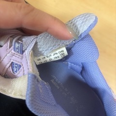 シュンソク　　18.5cmの画像