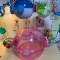 ハムスターハウスの画像