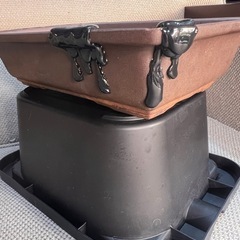 植物　鉢の画像