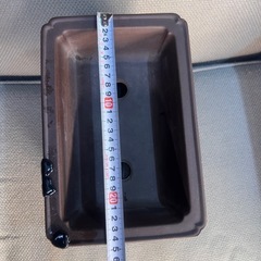 植物　鉢の画像