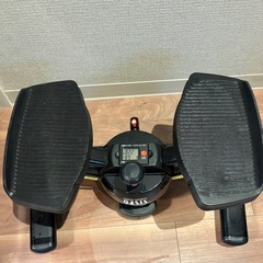 Oasis ツイスト エアロ ステッパー の画像