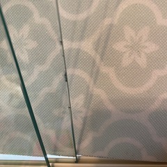 爬虫類ケージ　パンテオン6045中古の画像