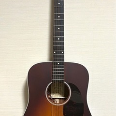 オール単板　エレアコ　RDS-11-FE3-TBR　
