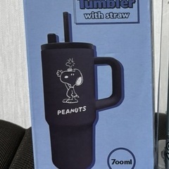 【新品未使用】タンブラー 700ml ストロー付き 温度表示ステンレスボトルの画像