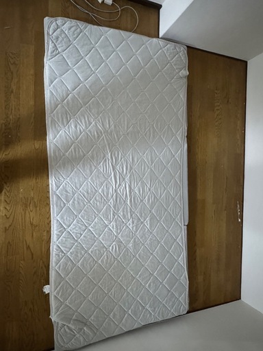 ベット