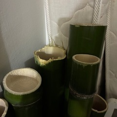 竹（真竹）の画像