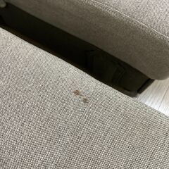 ソファ　ソファベットの画像