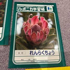 小学校　ノート　①の画像