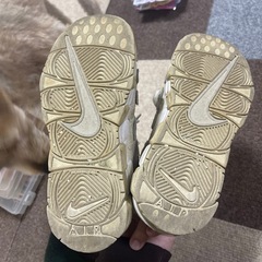 NIKE スニーカーの画像