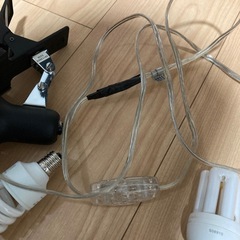 無料　　クリップライト　E17 の画像