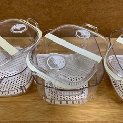 【訳あり】フレッシュキーパーMの画像