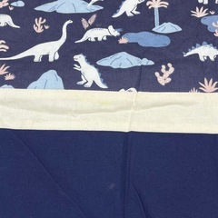 恐竜柄　大きめレッスンバッグ①の画像