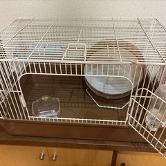 小動物　ケージ　回し車　給水ボトル　餌皿　メッシュロフトなど全部込み　デグー　ジリス　の画像