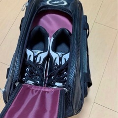 ボウリング　ボール　キャリーの画像