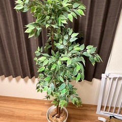 IKEA  FEJKA フェイカの画像