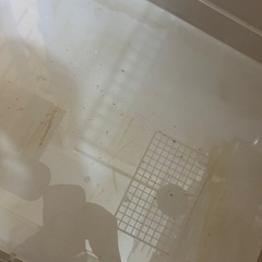 【早い者勝ち】GEX アクリルルーム390High 穴あり 手作りカバー付 小動物ケージの画像