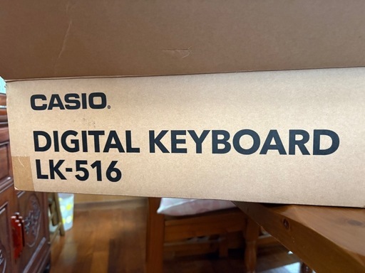 CASIO  デジタルキーボードLK-516

