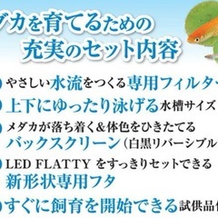 🉐特売  ＧＥＸ水槽セット   🐟メダカ等にの画像