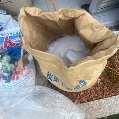 錦鯉　塩　どなん　蠣殻　の画像