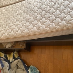 フランスベット　クイーンサイズの画像