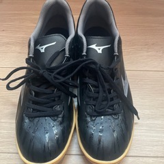 MIZUNO(ミズノ) モナルシーダ ネオ 25.5cmの画像