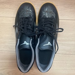 MIZUNO(ミズノ) モナルシーダ ネオ 25.5cmの画像