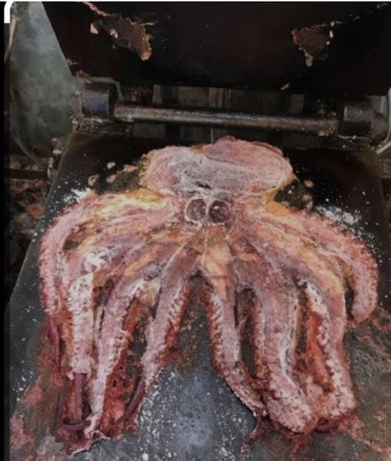 ?業務用ハサミ焼き器?