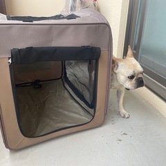 折りたたみペットゲージ
の画像