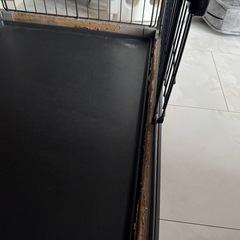 犬ゲージ（傷有り）の画像
