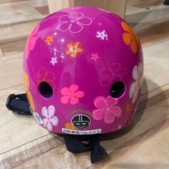 ヘルメット　子ども用　ナットケースの画像