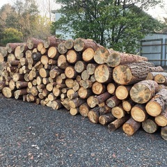 【無料】アカマツなどの薪　多数の画像