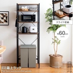 ゴミ箱上レンジラックの画像
