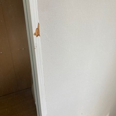 28日朝まで！姿見
の画像