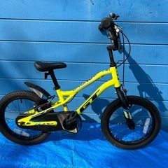 GT GRUNGE 16インチの画像