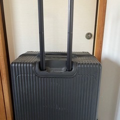 緊急デカいキャリーバック　の画像