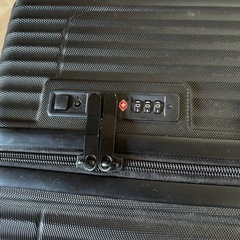 緊急デカいキャリーバック　の画像