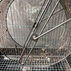 小動物、ペットケージの画像