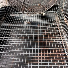 小動物、ペットケージの画像
