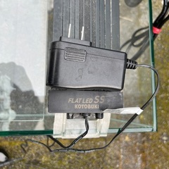 アクアリウム　フレームレス水槽セット一式②の画像