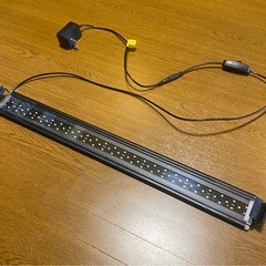 ［水作］ライトアップ600の画像