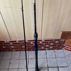 ダイワ　インフィートEG81MHの画像