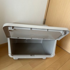 キャリコ の画像