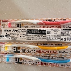 歯ブラシ12本の画像