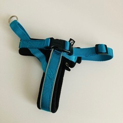 ハンター　Hunter ハーネス　S レーシング　小型犬　犬　ドッグ　ペット　青の画像